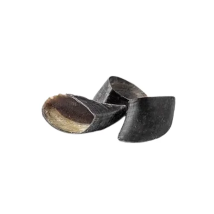 Cascos de Boi